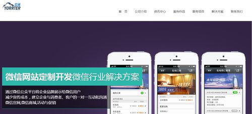 專業(yè)的軟件開發(fā)技術(shù)團隊 數(shù)字化時代的核心競爭力